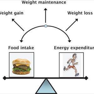 Antidepressants And Weight Loss - The Fbf Diet Plan